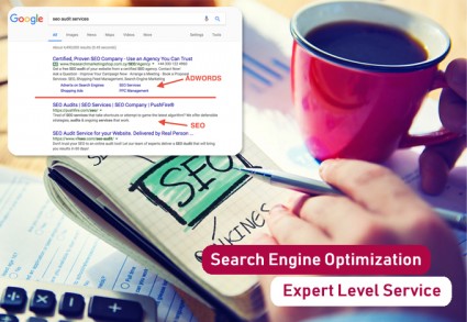 Website SEO Expert